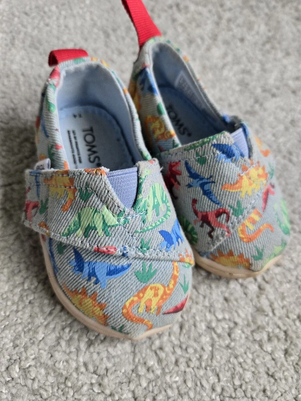 Toms Canvas Slip-On Shoes with Multicolor Dinosaur Print